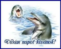 delfinh10.jpg